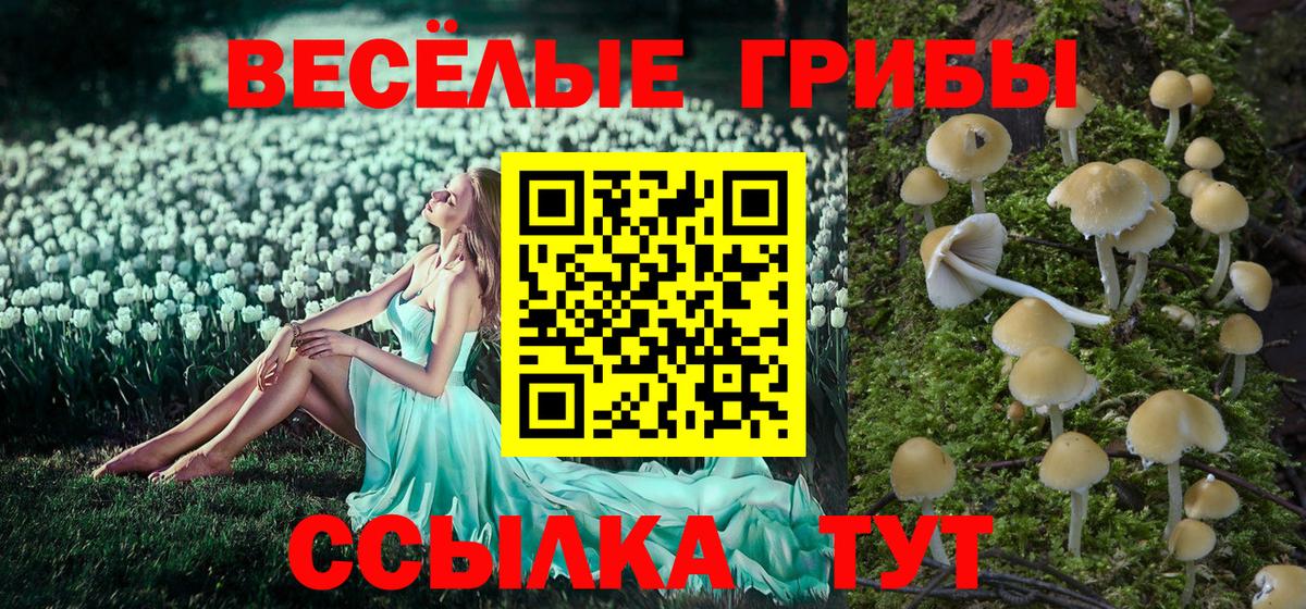 Галлюциногенные грибы прущие грибы  Галлюциногенные грибы Cubensis  Вход с VPN  Каменск-Уральский 